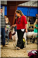 LCFAIR14-5683.jpg