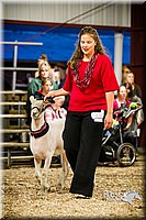 LCFAIR14-5684.jpg