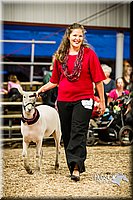 LCFAIR14-5685.jpg