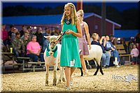 LCFAIR14-5695.jpg