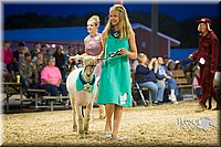 LCFAIR14-5696.jpg