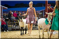 LCFAIR14-5697.jpg