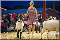 LCFAIR14-5698.jpg