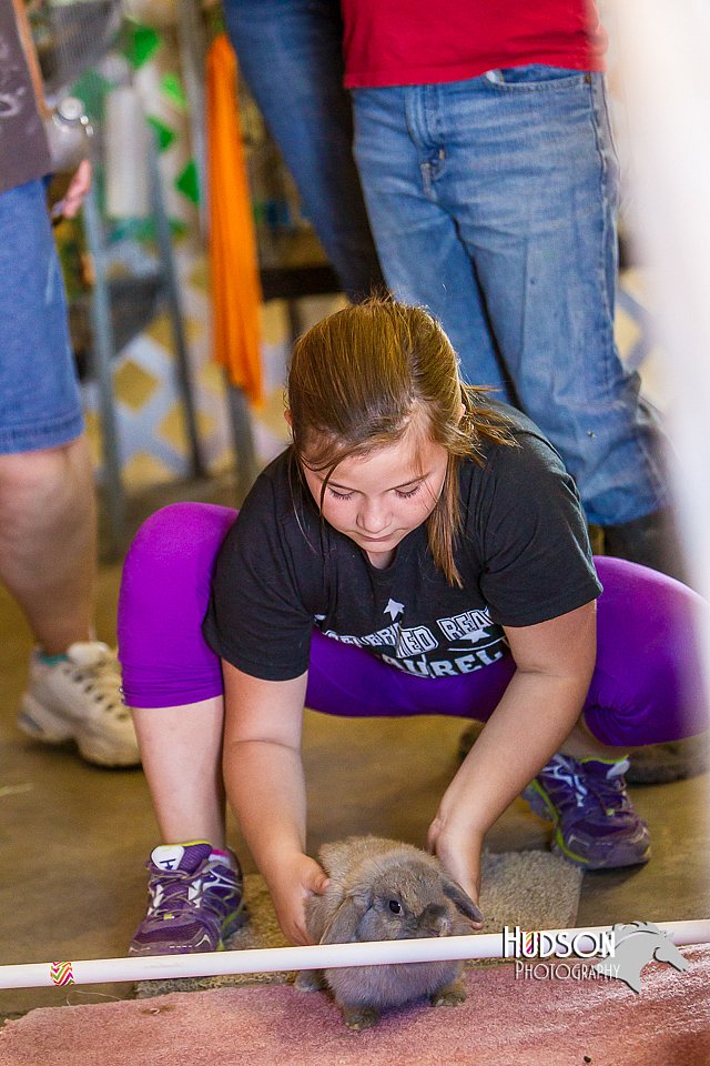 LCFAIR14-2238.jpg