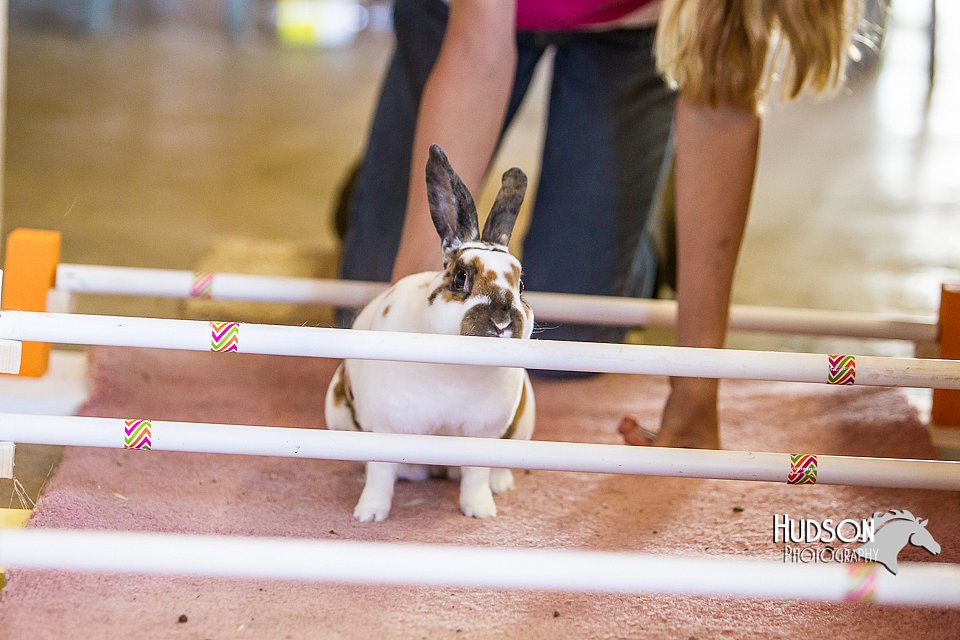 LCFAIR14-2396.jpg