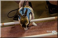 LCFAIR14-2183.jpg
