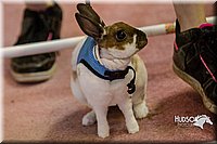 LCFAIR14-2186.jpg