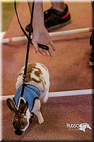LCFAIR14-2190.jpg