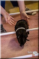 LCFAIR14-2193.jpg