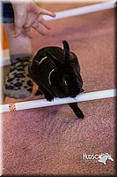 LCFAIR14-2196.jpg