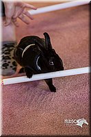 LCFAIR14-2197.jpg