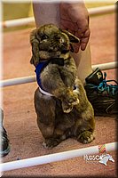LCFAIR14-2209.jpg