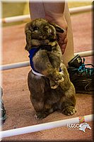 LCFAIR14-2210.jpg