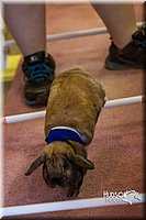 LCFAIR14-2211.jpg