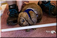 LCFAIR14-2213.jpg