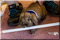 LCFAIR14-2217.jpg