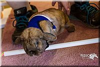 LCFAIR14-2218.jpg