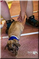 LCFAIR14-2219.jpg