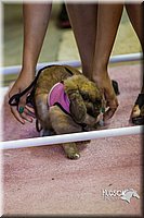 LCFAIR14-2223.jpg