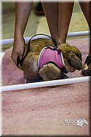 LCFAIR14-2224.jpg