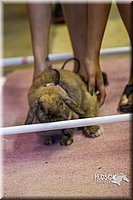 LCFAIR14-2225.jpg