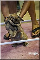 LCFAIR14-2228.jpg