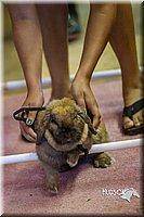 LCFAIR14-2229.jpg