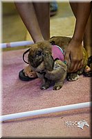 LCFAIR14-2230.jpg