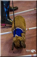LCFAIR14-2235.jpg