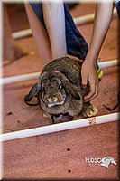 LCFAIR14-2251.jpg