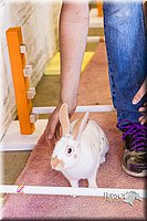 LCFAIR14-2315.jpg