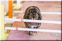 LCFAIR14-2383.jpg