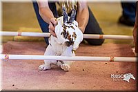 LCFAIR14-2414.jpg