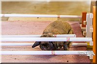 LCFAIR14-2422.jpg