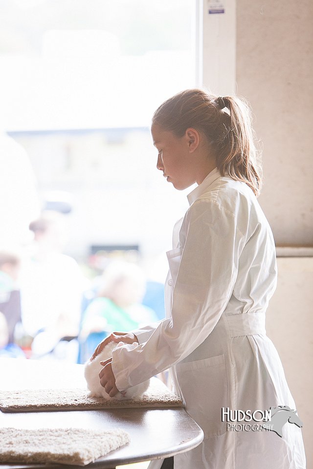 LCFAIR14-0155.jpg