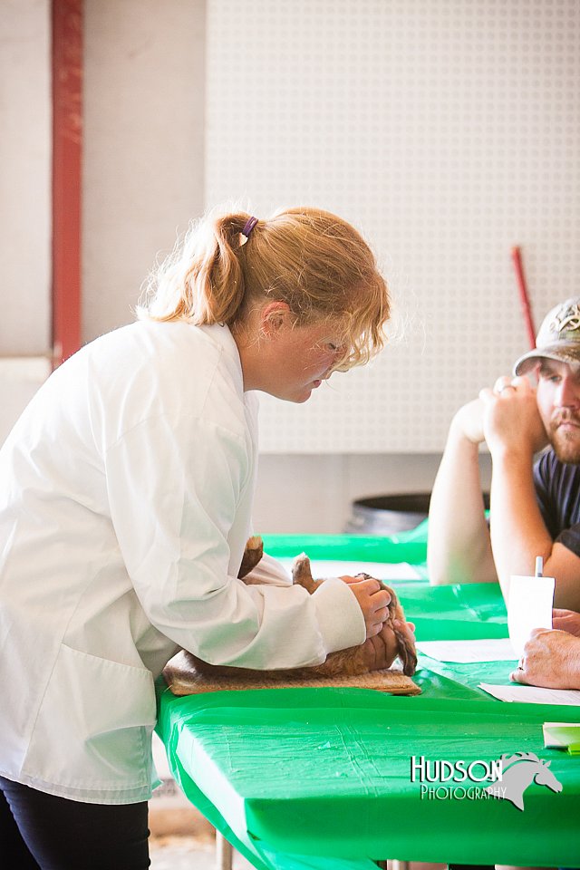 LCFAIR14-0299.jpg