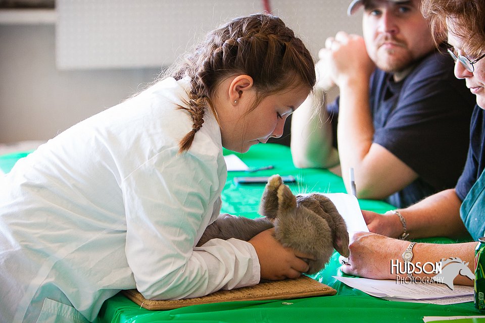 LCFAIR14-0345.jpg