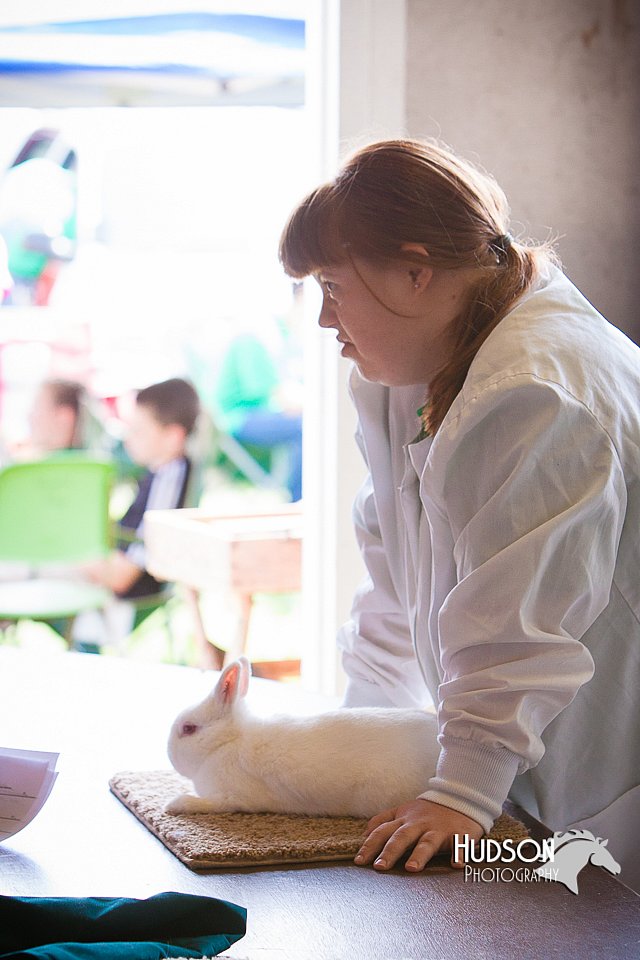 LCFAIR14-0361.jpg