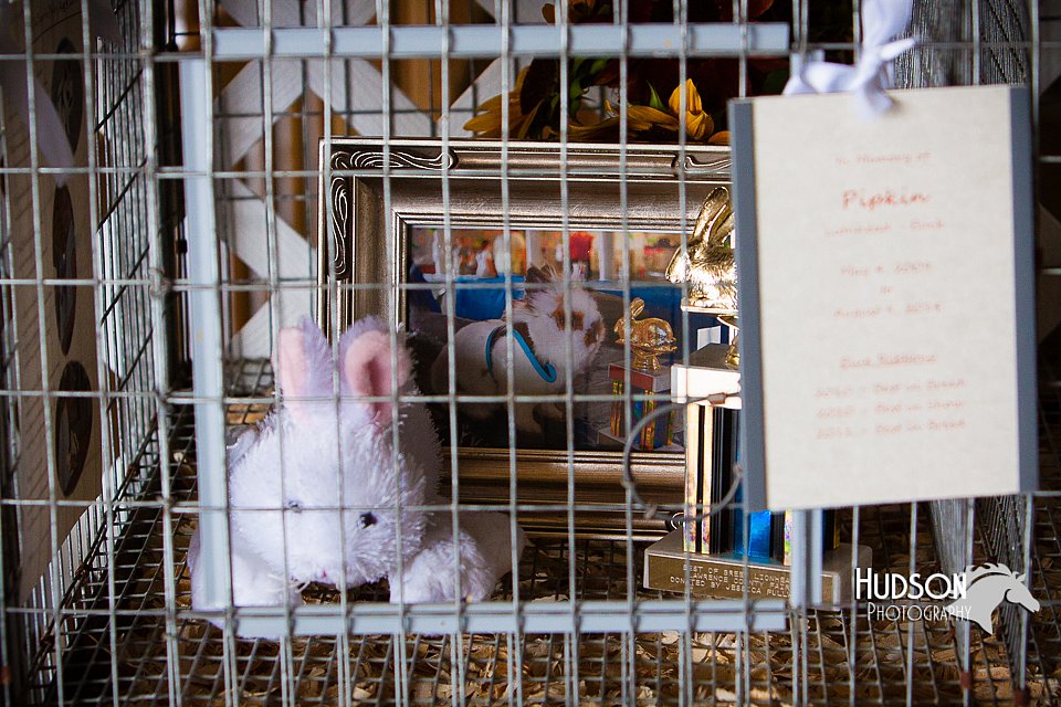 LCFAIR14-0369.jpg