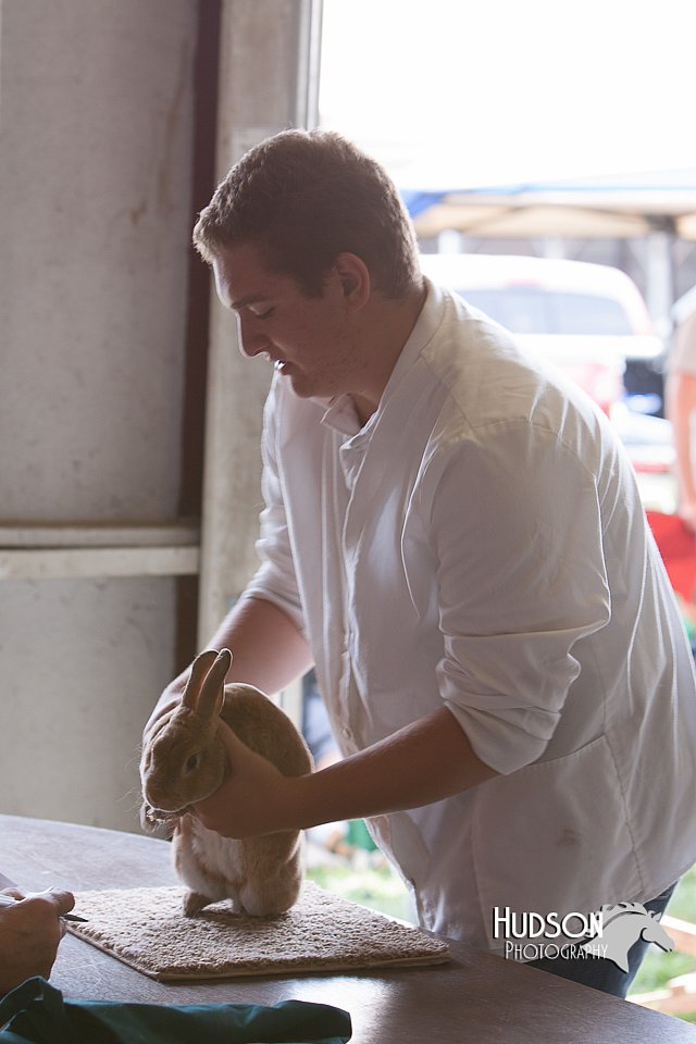 LCFAIR14-0395.jpg