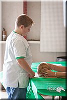 LCFAIR14-0283.jpg