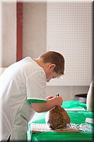 LCFAIR14-0286.jpg
