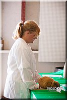 LCFAIR14-0295.jpg