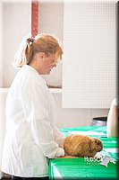 LCFAIR14-0296.jpg