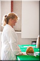LCFAIR14-0297.jpg
