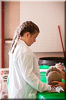 LCFAIR14-0339.jpg