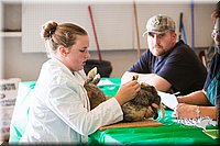 LCFAIR14-0346.jpg