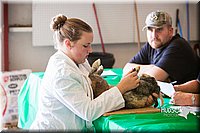 LCFAIR14-0347.jpg