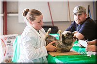 LCFAIR14-0348.jpg