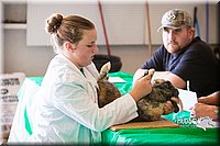 LCFAIR14-0349.jpg